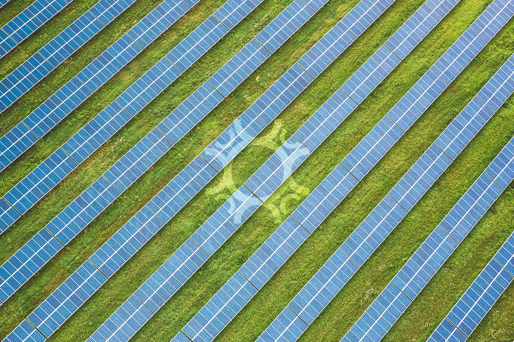 Radiant Renewables solar field aerial